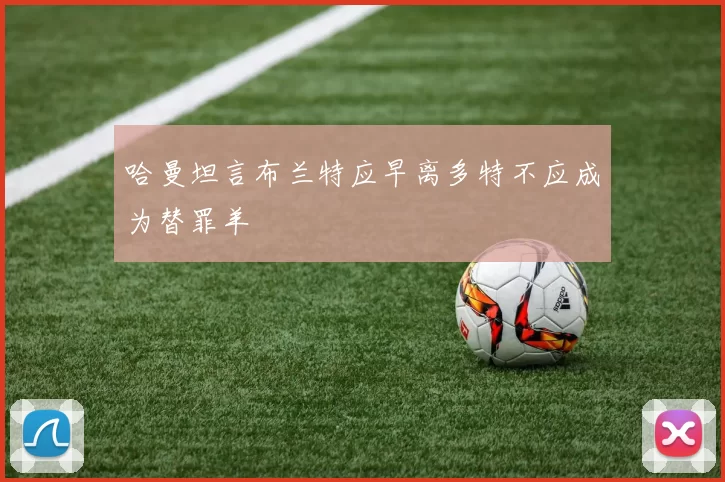 哈曼坦言布兰特应早离多特不应成为替罪羊